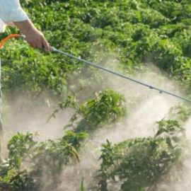 Agrifood: riduzione dei pesticidi per una strategia sostenibile